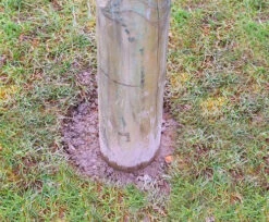 13ft 1 / 4m Wooden Shade Sail Pole With Eyebolt Screw - 12cm Diameter" -Primrose pr0000005908 card6 lg