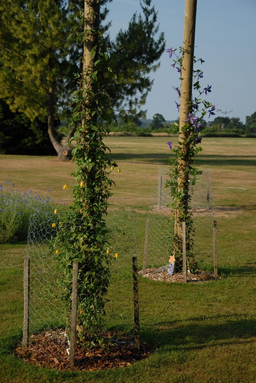 9ft 10 / 3m Wooden Shade Sail Pole With Eyebolt Screw - 12cm Diameter" 4 9ft 10 / 3m Wooden Shade Sail Pole With Eyebolt Screw - 12cm Diameter" - Image 2